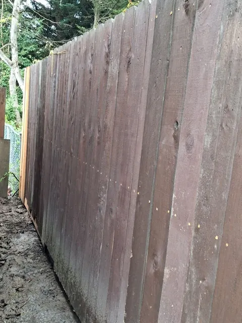 The wood privacy fence stands straight along the side passage on its new posts.